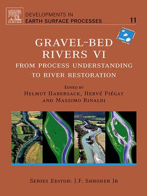 cover image of Gravel Bed Rivers 6